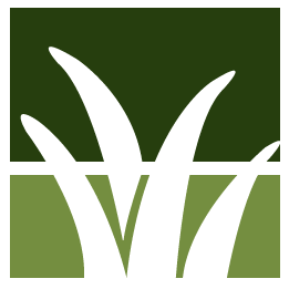 Santa Cruz Lawn Clean Up
