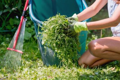 Increase Your Lawn Clean Up Service Business with an AI Driven, Targeted Website