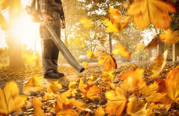 Leaf Blowing Service in Santa Cruz