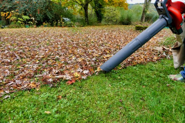 Leaf Vacuuming Service in Santa Cruz