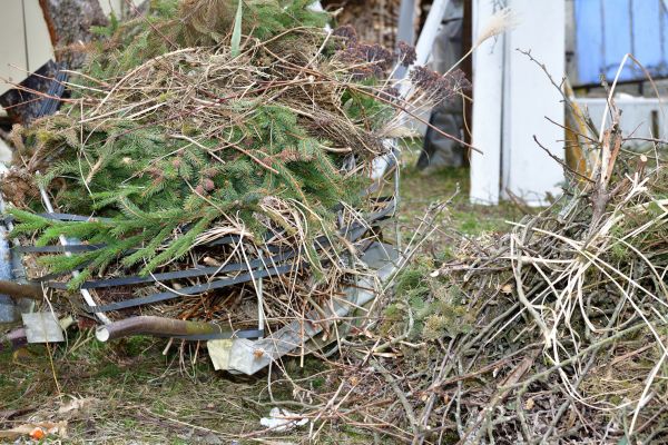 Yard Debris Removal in Santa Cruz