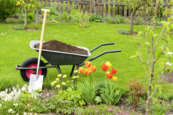 Spring Yard Cleanup in Santa Cruz