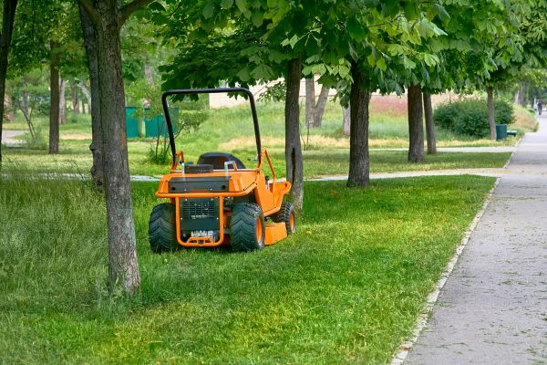 Landscaping Cleanup Service in Santa Cruz