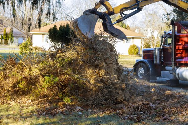 Storm Debris Removal in Santa Cruz