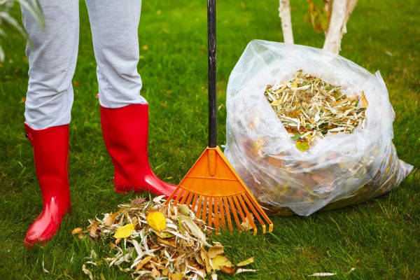 Leaf Disposal Service in Santa Cruz