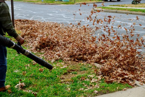 Garden Leaf Removal in Santa Cruz