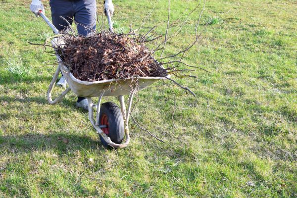 Yard Brush Removal in Santa Cruz