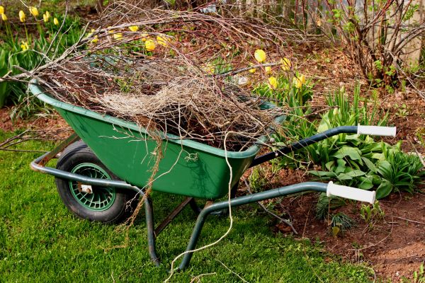 Lawn Waste Removal in Santa Cruz