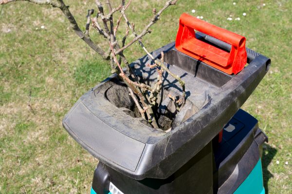 Brush Cleanup Service in Santa Cruz