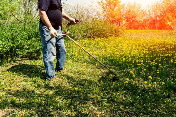 Yard Clearing Service in Santa Cruz