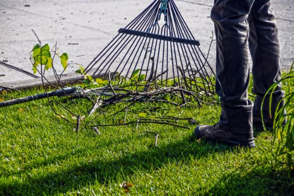Yard Debris Cleanup in Santa Cruz
