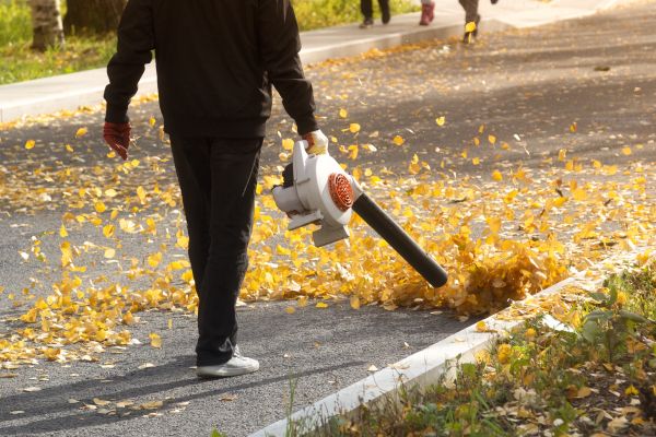 Commercial Leaf Removal in Santa Cruz