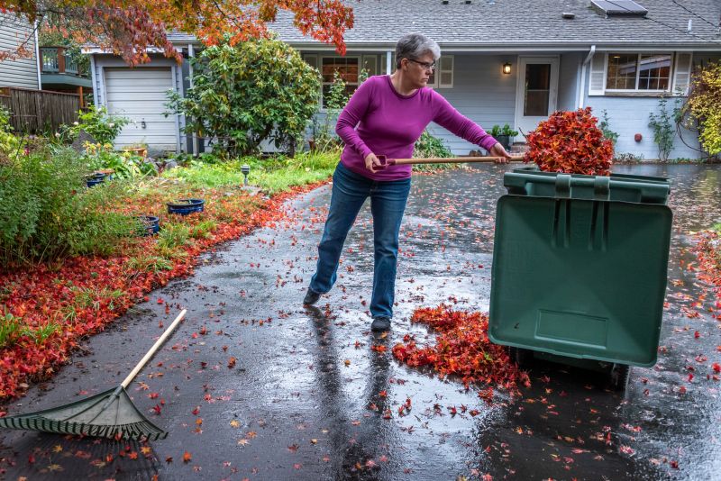 Fall Cleanup for Winter Readiness