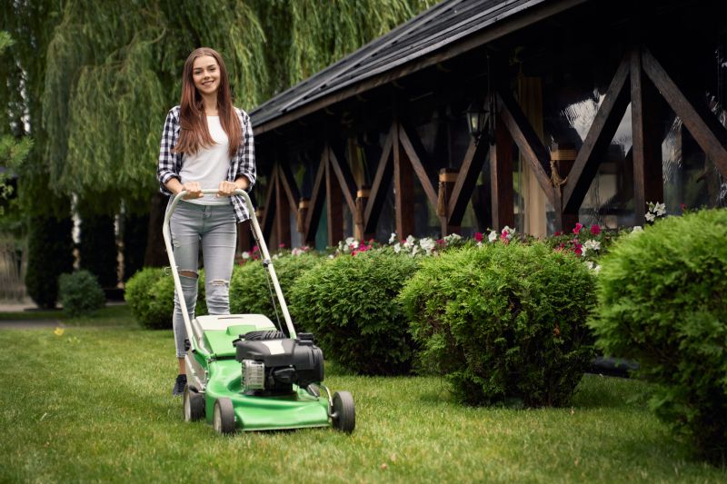 Affordable Lawn Care Solutions